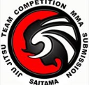 Logo BJJ